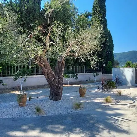 Harmony Luxury * Ipsos