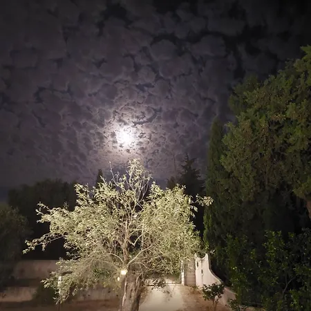 Harmony Luxury * Ипсос